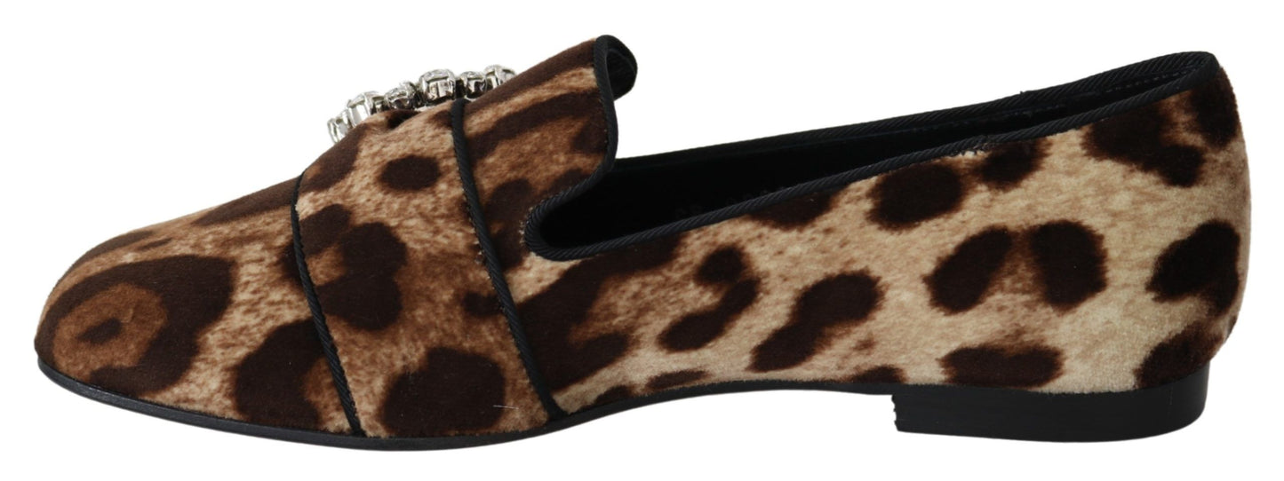 Dolce &amp; Gabbana Braune Loafers mit Kristallen und Leopardenmuster, flache Schuhe