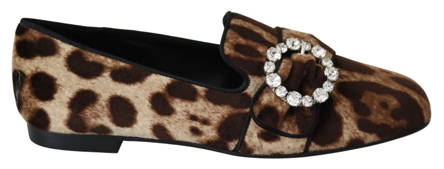 Dolce &amp; Gabbana Braune Loafers mit Kristallen und Leopardenmuster, flache Schuhe