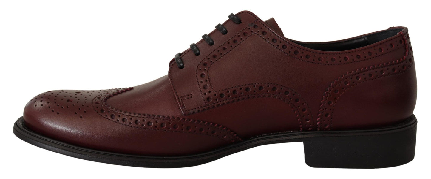 Dolce &amp; Gabbana Bordeaux-Leder-Oxford-Wingtip-Formelle Schuhe