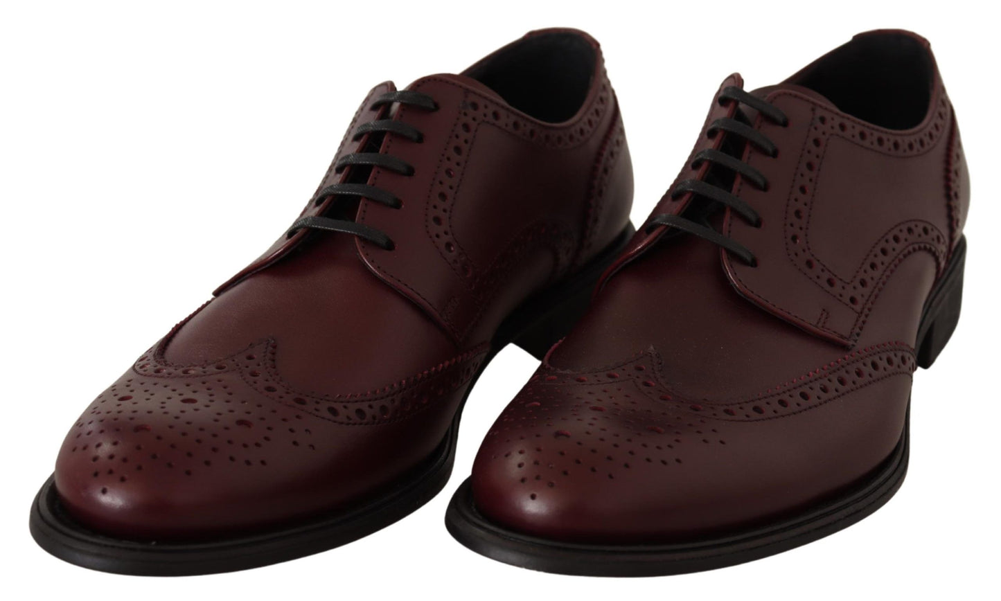 Dolce &amp; Gabbana Bordeaux Leather Oxford Wingtip Formal Shoes