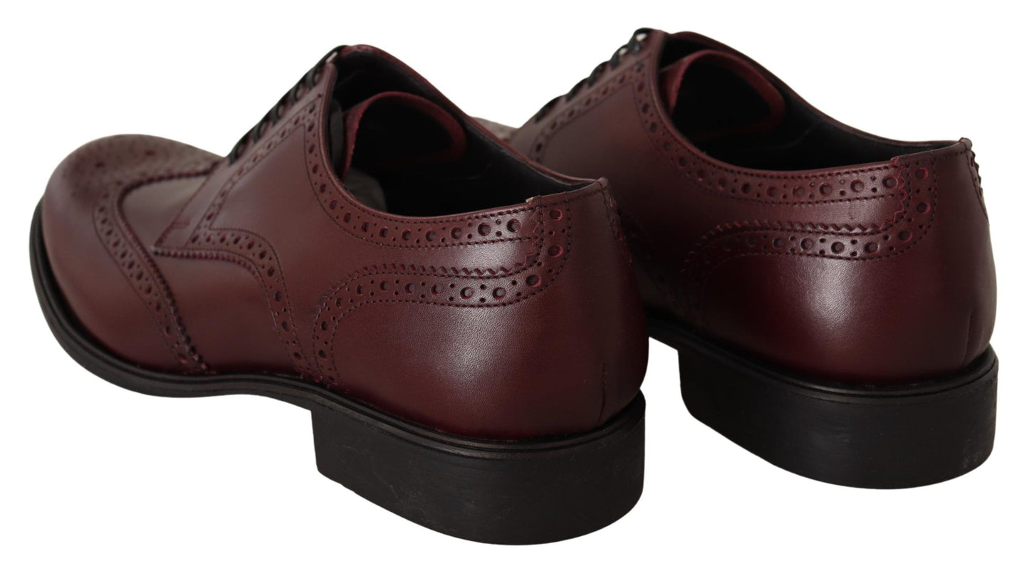 Dolce &amp; Gabbana Bordeaux Leather Oxford Wingtip Formal Shoes