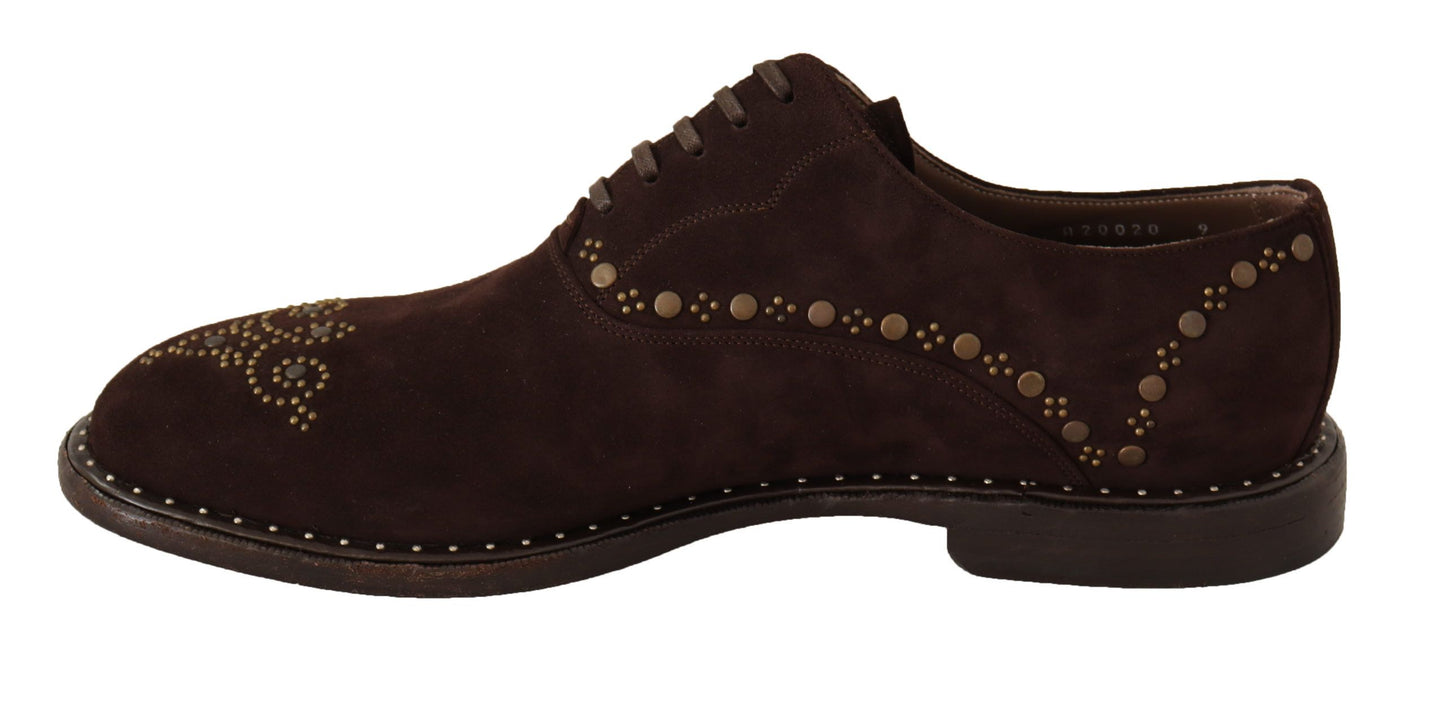 Dolce &amp; Gabbana Brown Suede Marsala Derby Studded Shoes