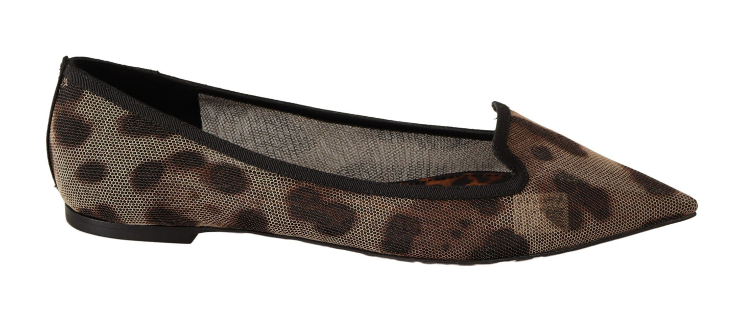 Dolce &amp; Gabbana Brown Leopard Ballerina Flat Loafers Shoes