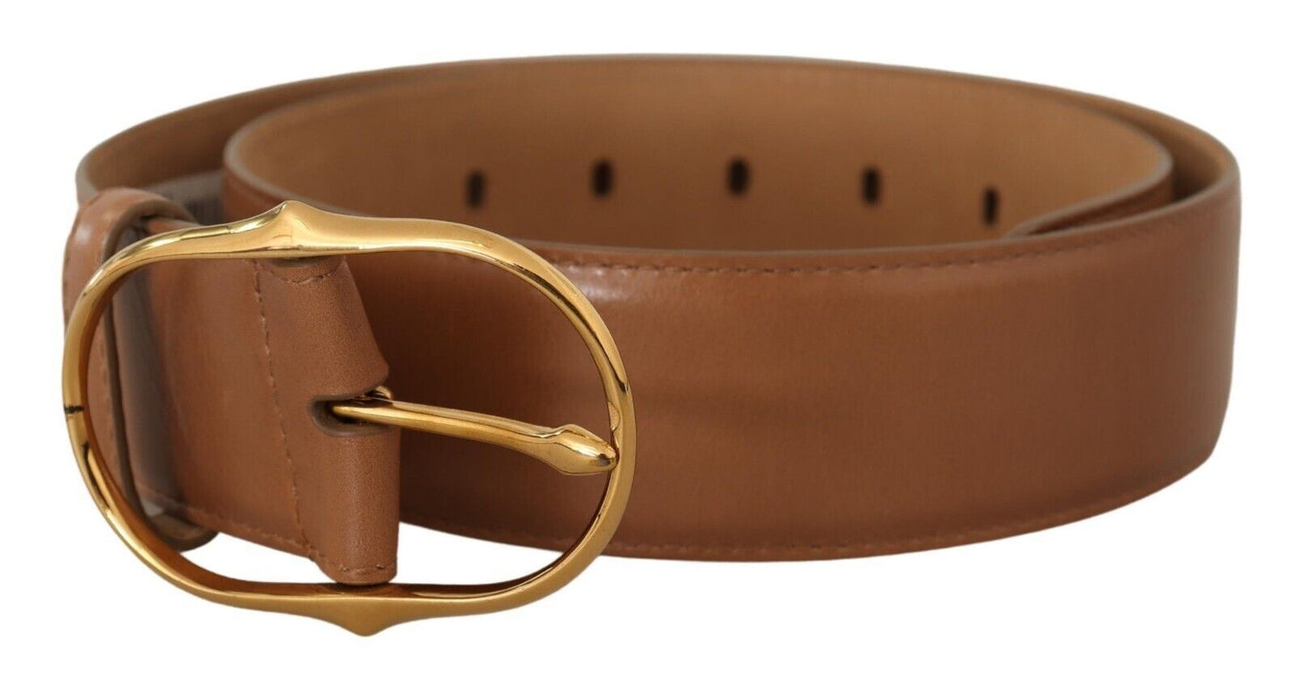 Dolce &amp; Gabbana Brown Leather Gold Metal Oval Buckle Belt