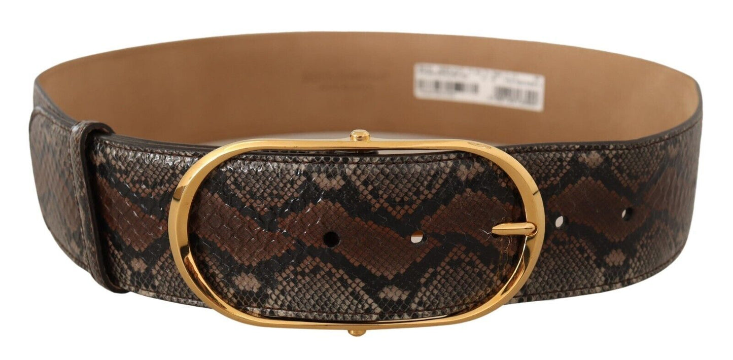 Dolce &amp; Gabbana Brown Exotic Leather Gold Oval Buckle Belt