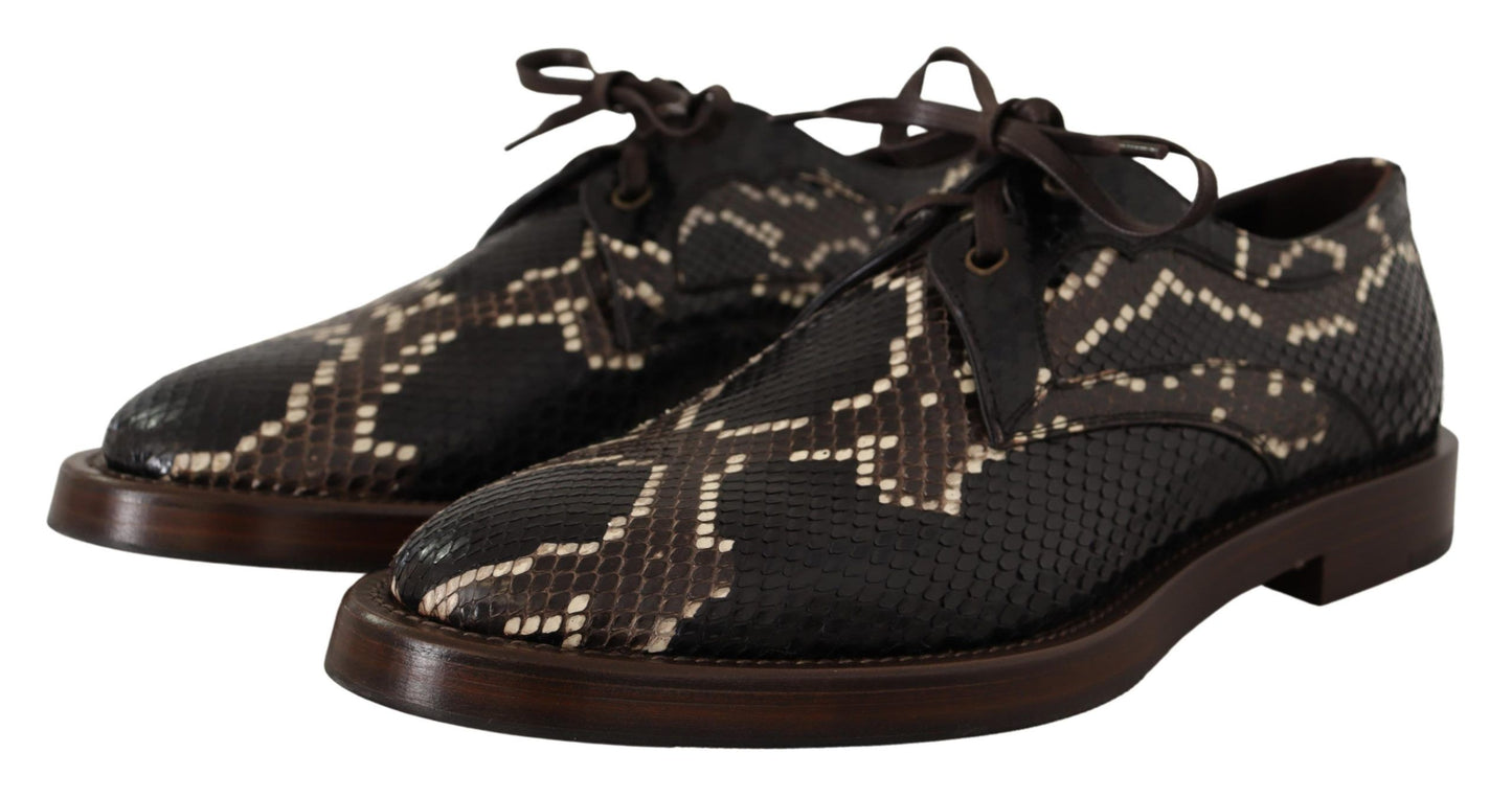 Dolce &amp; Gabbana Brown Derby Exotic Leather Men Shoes