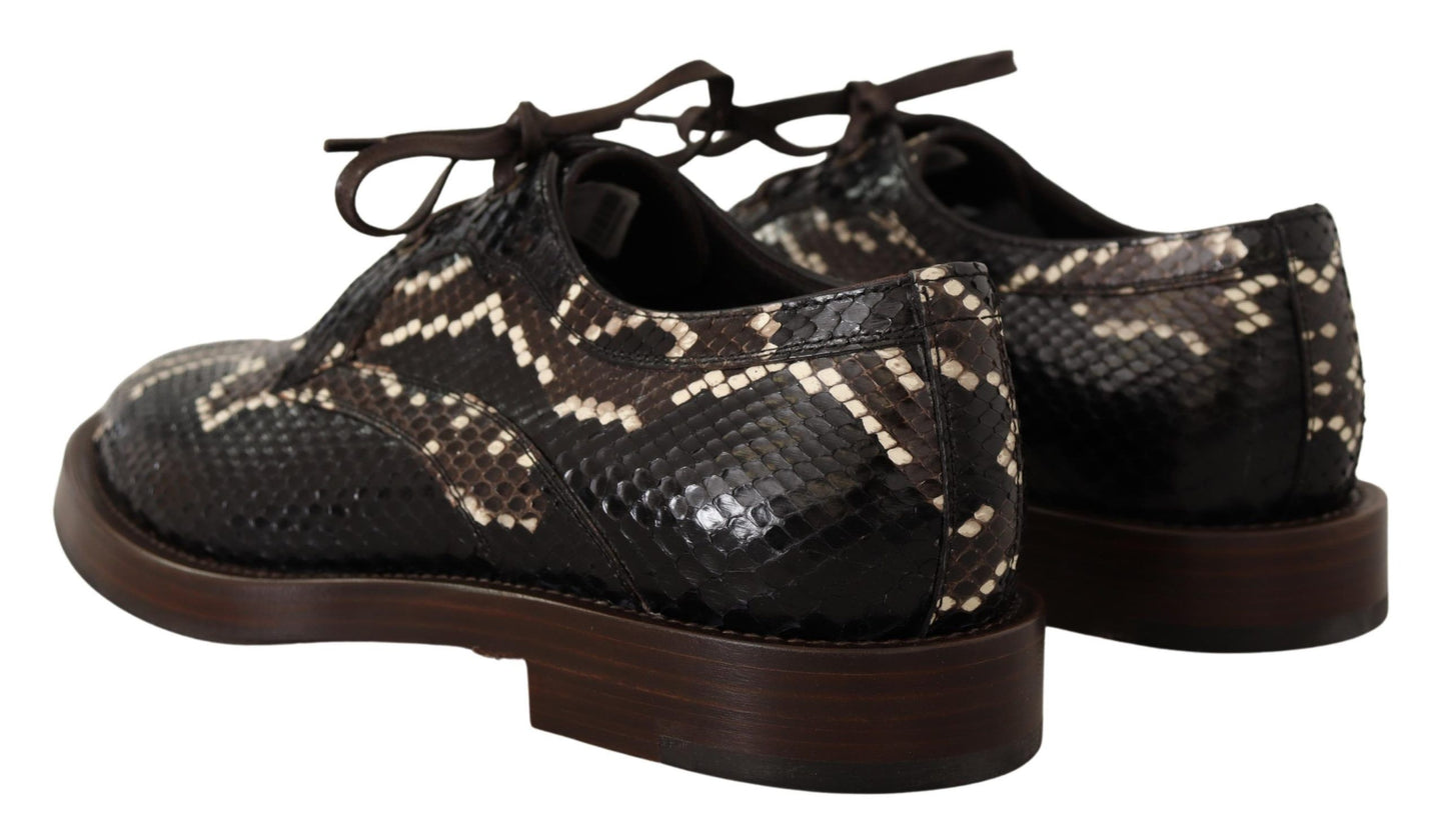 Dolce &amp; Gabbana Brown Derby Exotic Leather Men Shoes