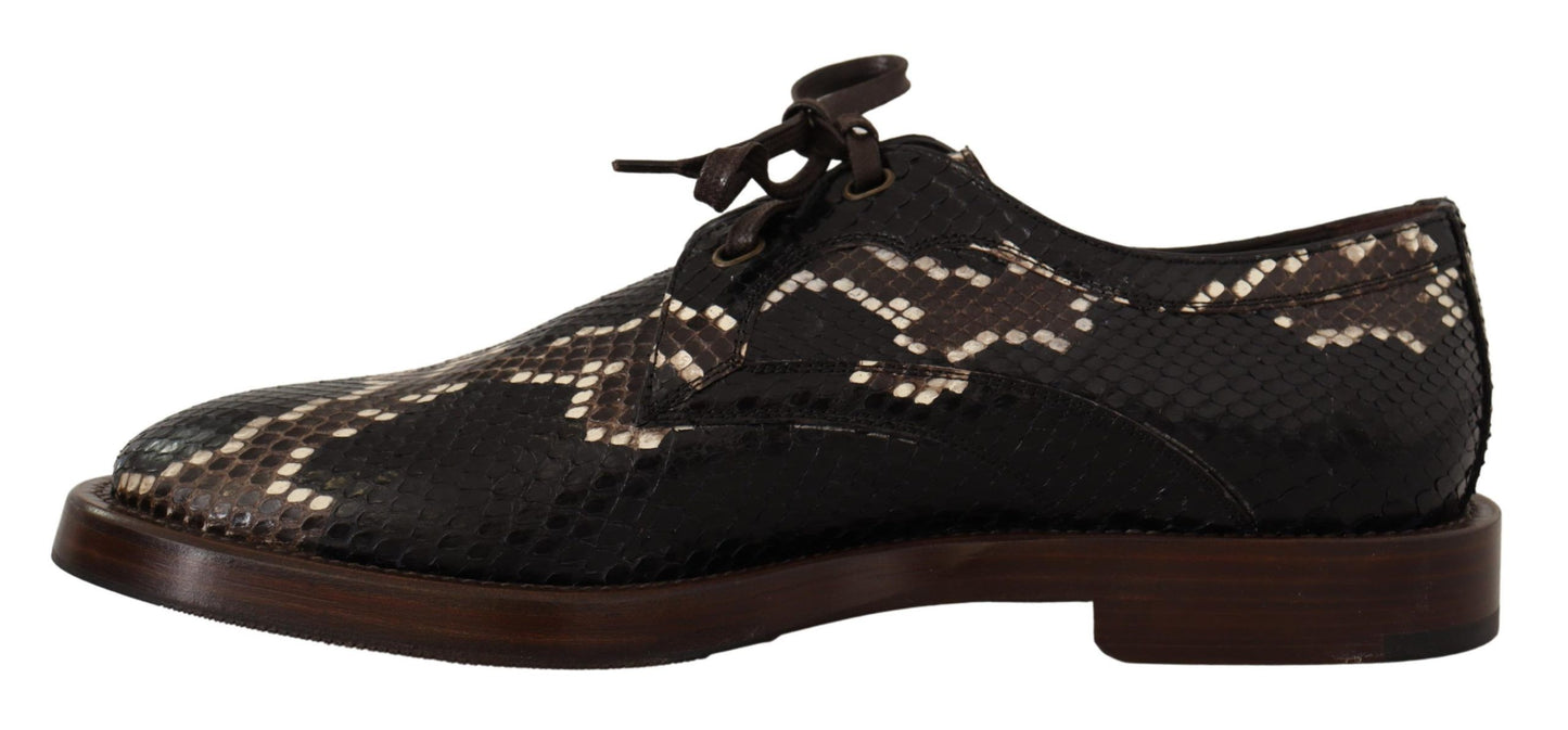 Dolce &amp; Gabbana Brown Derby Exotic Leather Men Shoes