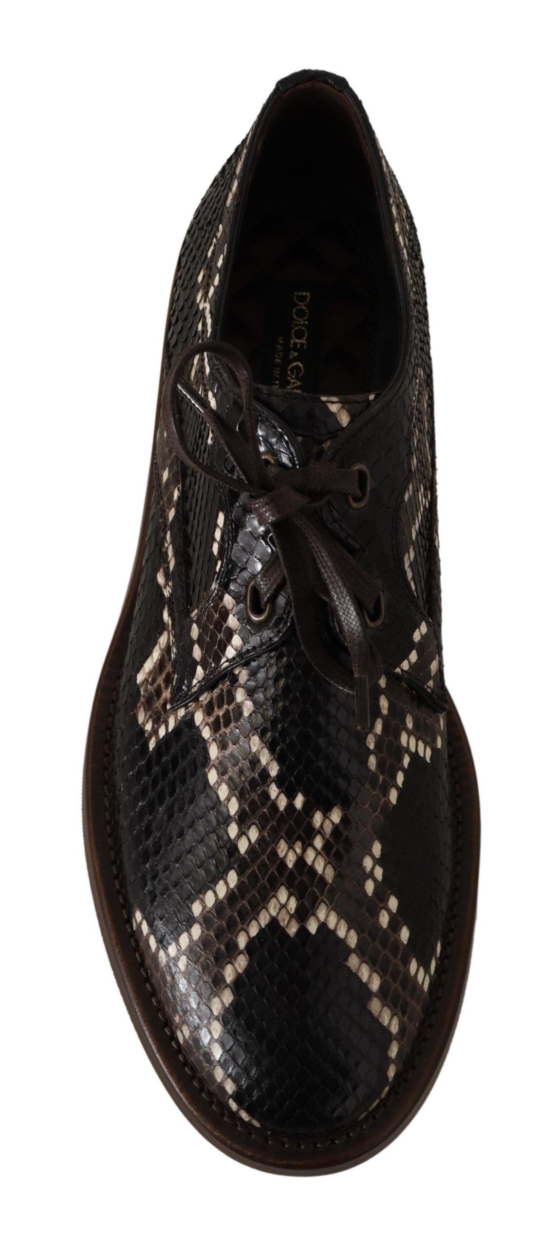 Dolce &amp; Gabbana Brown Derby Exotic Leather Men Shoes