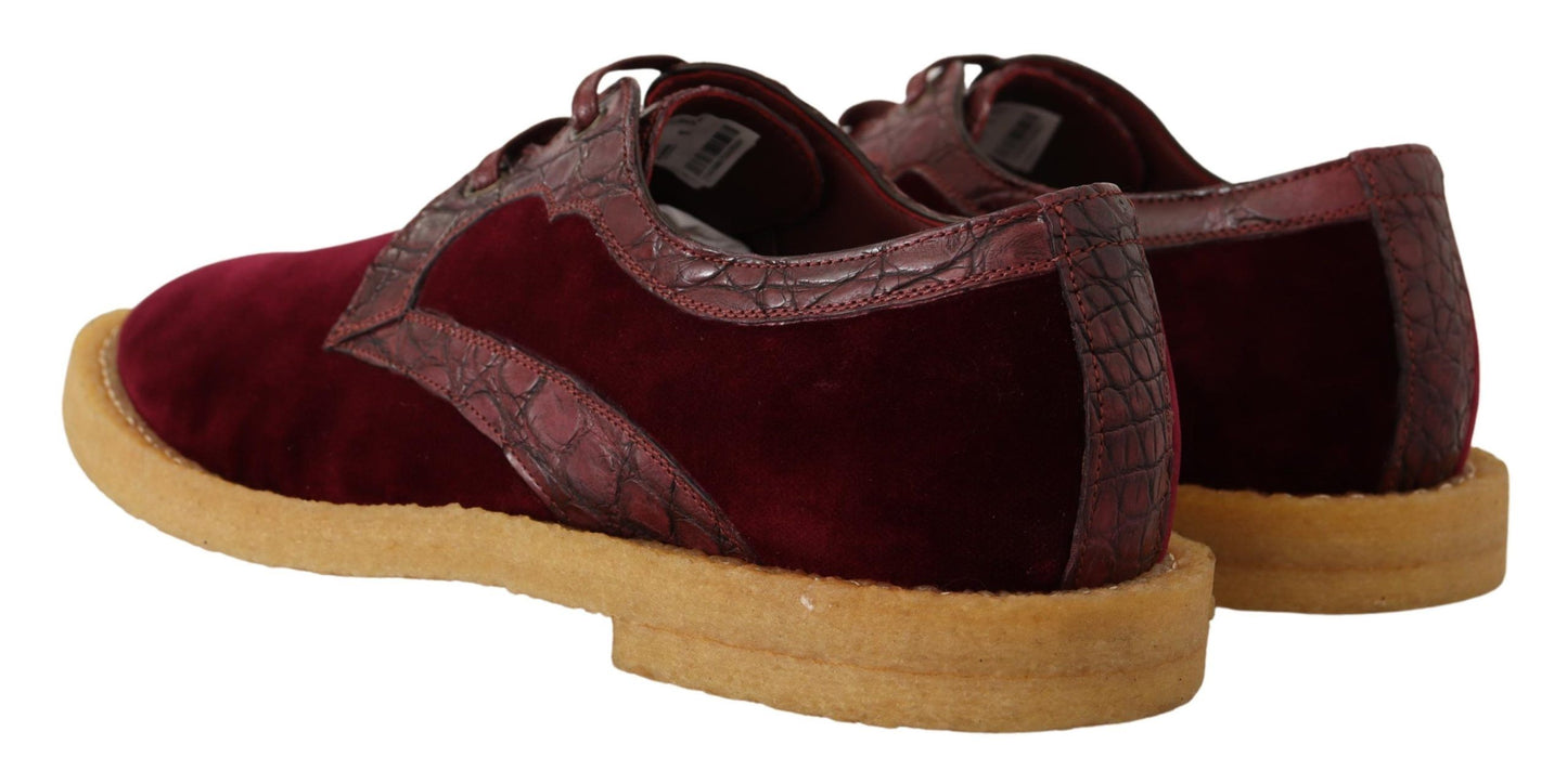 Dolce &amp; Gabbana Bordeaux Velvet Exotic Leather Shoes