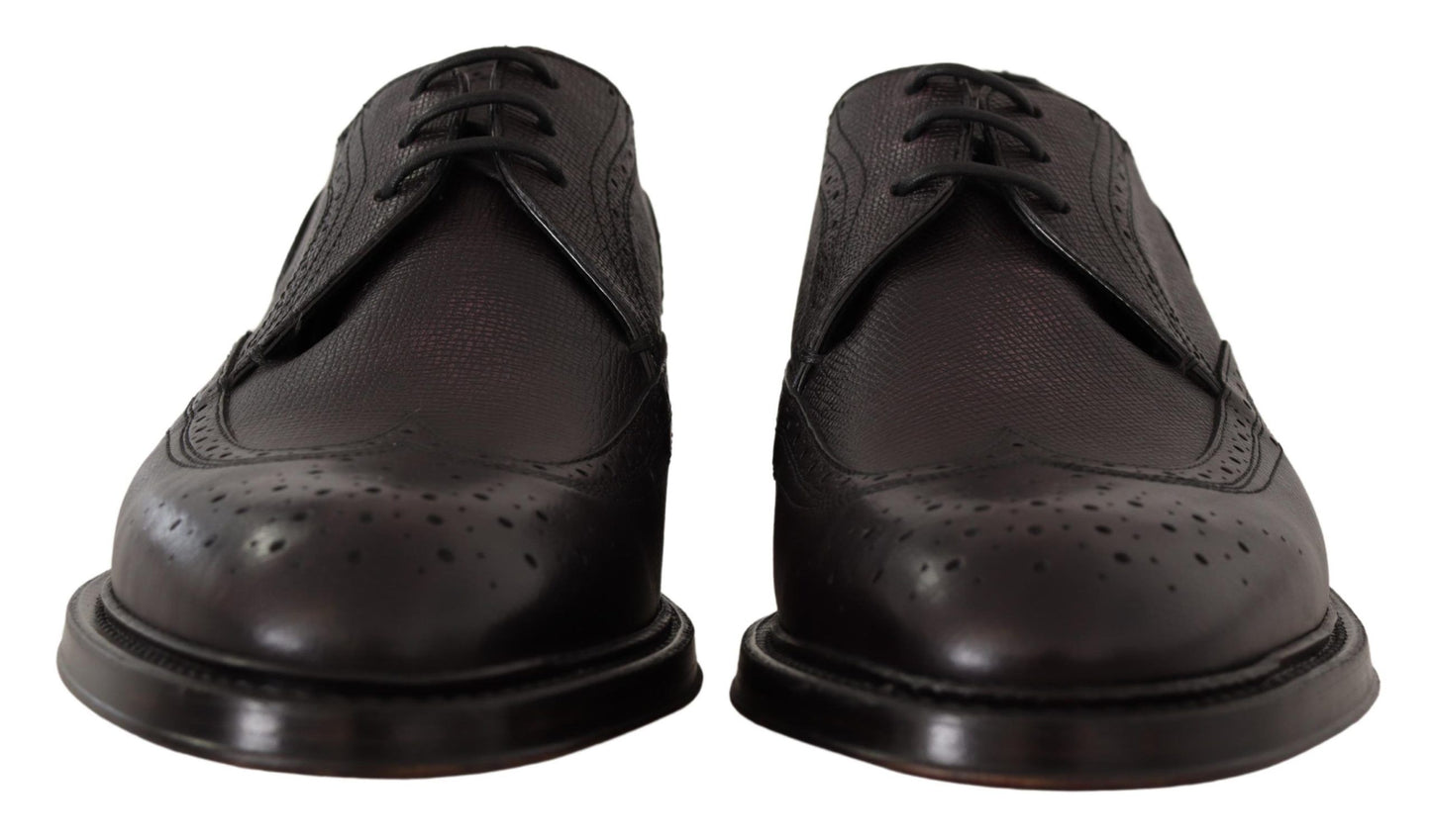 Dolce &amp; Gabbana Purple Wingtip Leather Derby Shoes