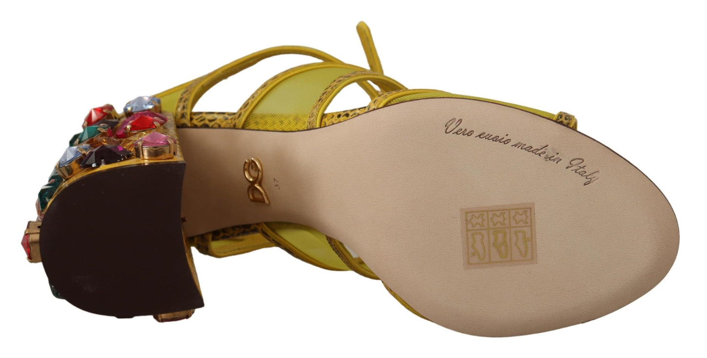 Dolce &amp; Gabbana Ayers-Sandalen aus gelbem Leder mit Kristallen