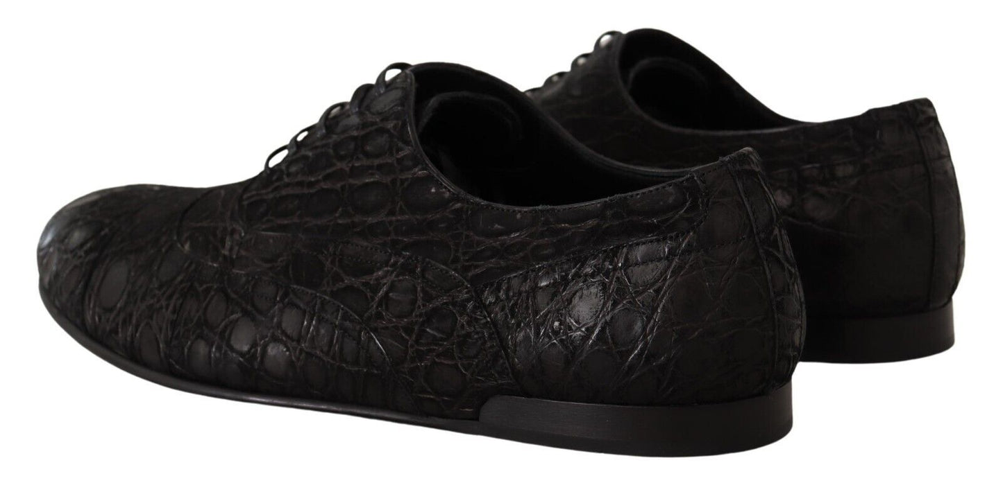 Dolce &amp; Gabbana Black Caiman Leather Mens Oxford Shoes