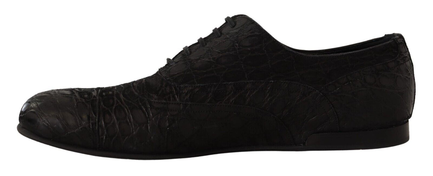 Dolce &amp; Gabbana Black Caiman Leather Mens Oxford Shoes