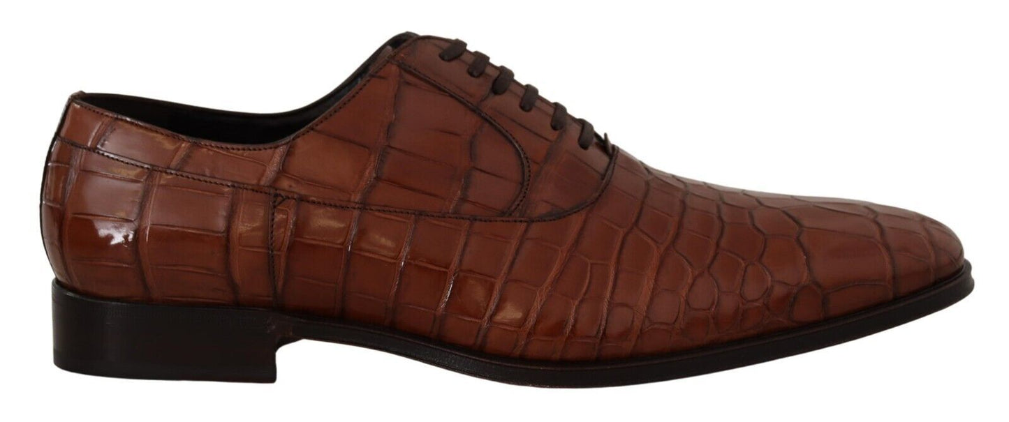 Dolce &amp; Gabbana Brown Crocodile Leather Mens Formal Derby Shoes