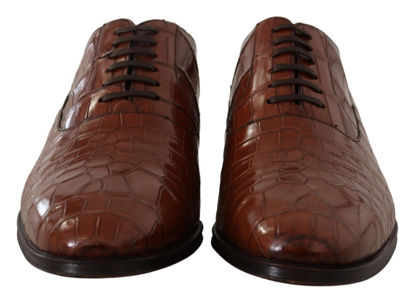 Dolce &amp; Gabbana Brown Crocodile Leather Mens Formal Derby Shoes