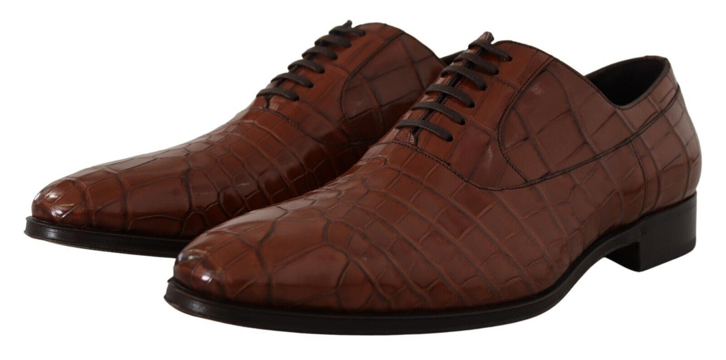 Dolce &amp; Gabbana Brown Crocodile Leather Mens Formal Derby Shoes