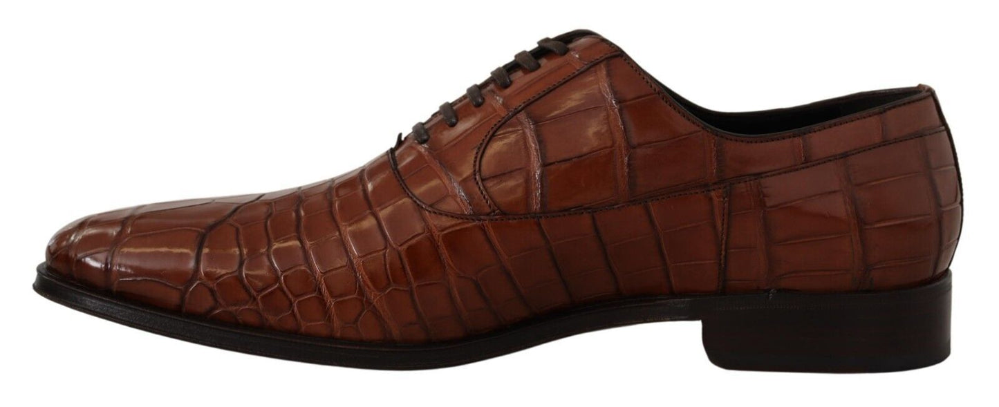 Dolce &amp; Gabbana Brown Crocodile Leather Mens Formal Derby Shoes