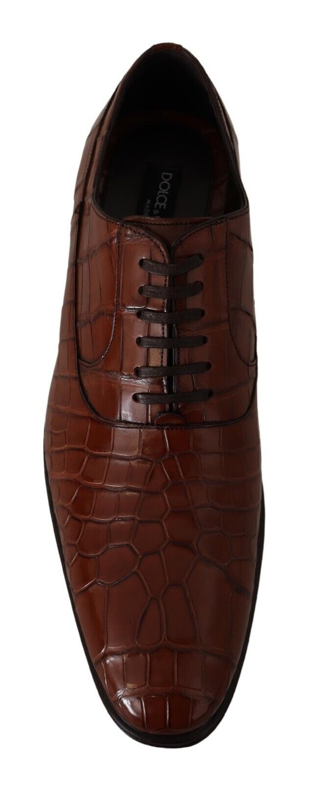 Dolce &amp; Gabbana Brown Crocodile Leather Mens Formal Derby Shoes