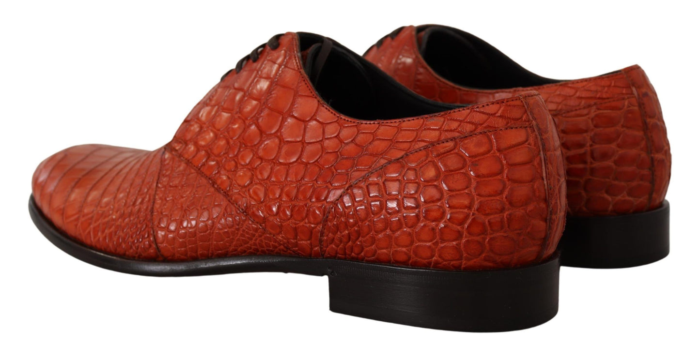 Dolce &amp; Gabbana Orangefarbene Derby-Schuhe aus exotischem Leder