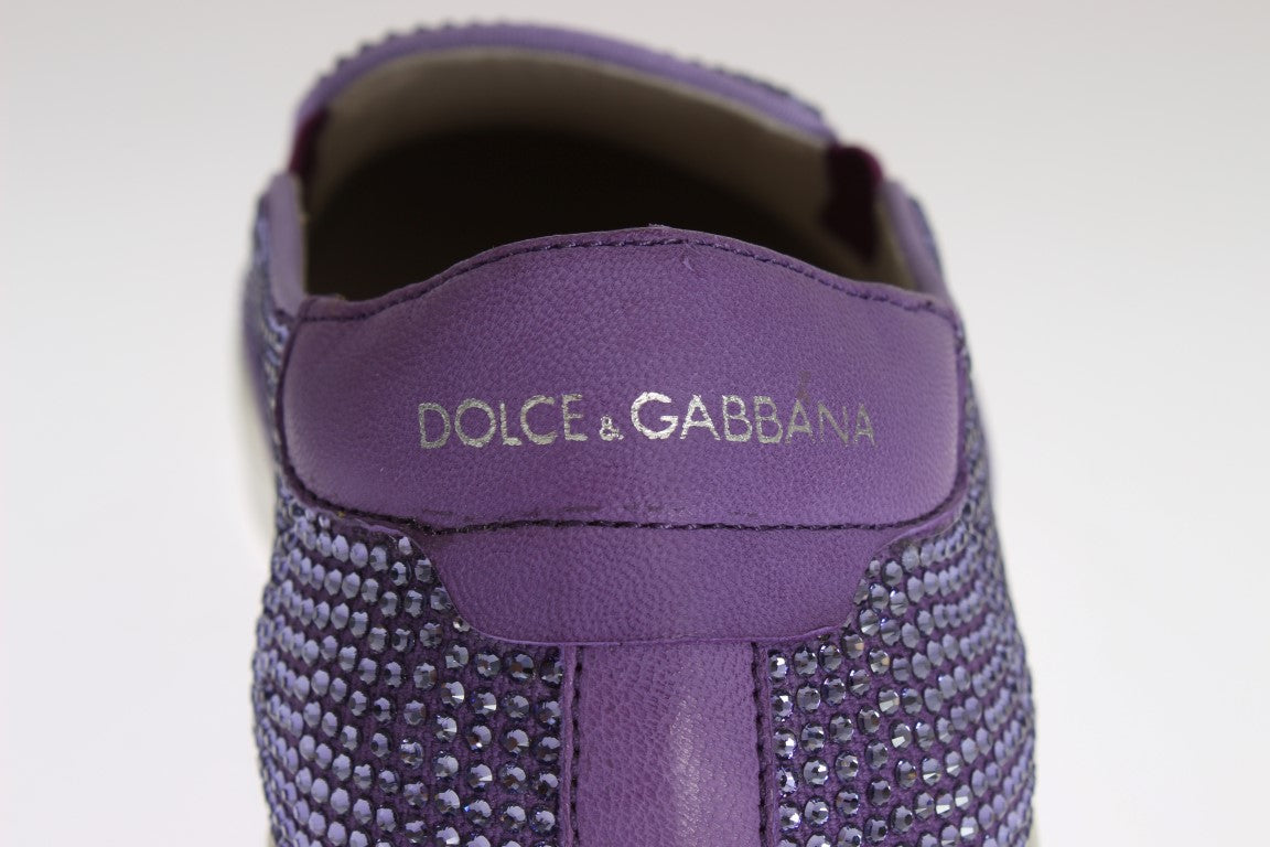 Dolce &amp; Gabbana Purple Strass Canvas Logo Sneakers