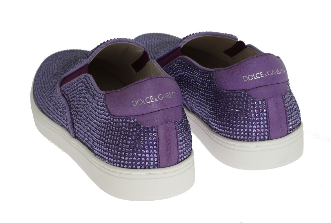 Dolce &amp; Gabbana Purple Strass Canvas Logo Sneakers