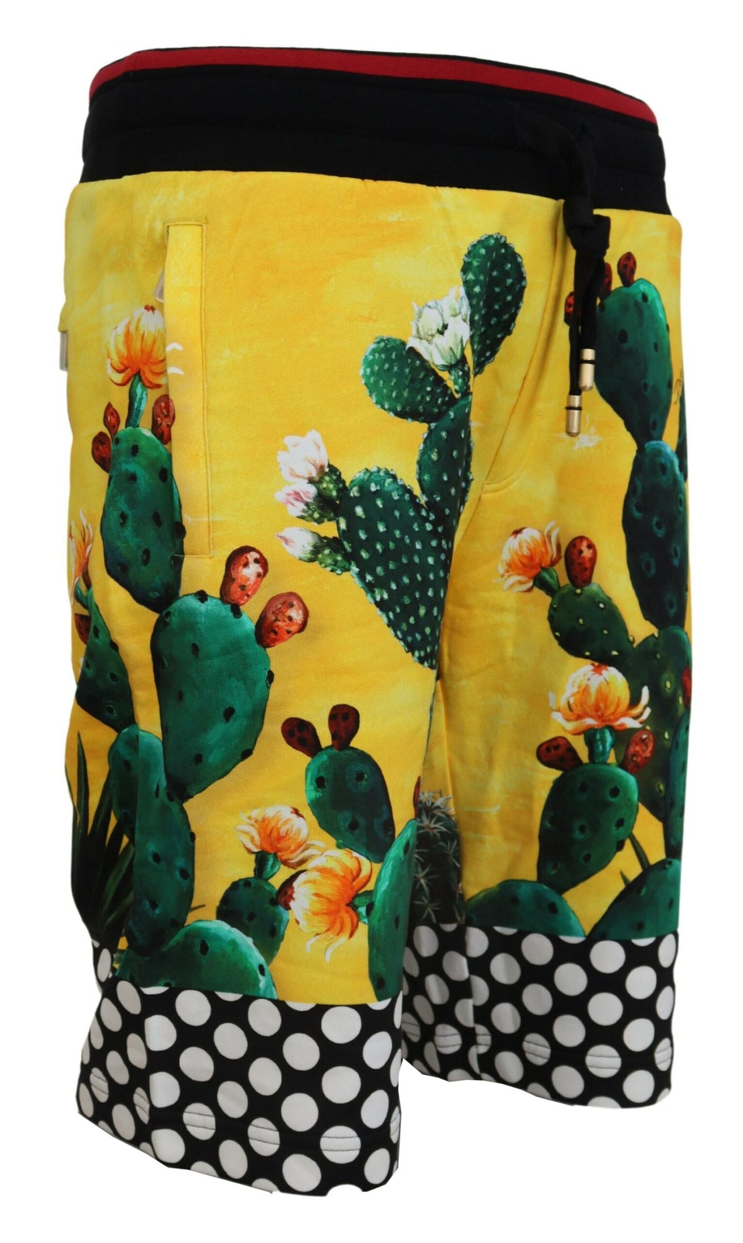 Dolce &amp; Gabbana Multicolor Cactus Print Cotton Sweat Shorts