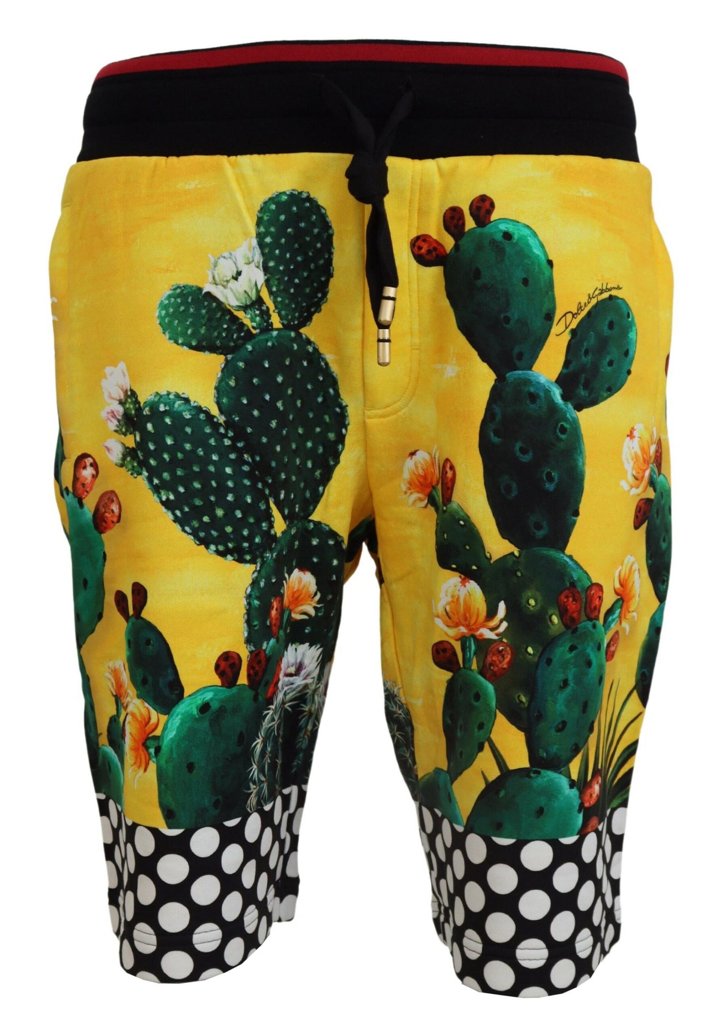 Dolce &amp; Gabbana Multicolor Cactus Print Cotton Sweat Shorts