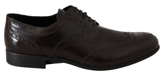 Dolce &amp; Gabbana Brown Leather Broques Oxford Wingtip Shoes