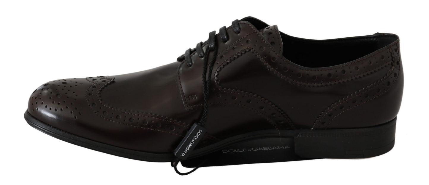 Dolce &amp; Gabbana Brown Leather Broques Oxford Wingtip Shoes